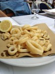 calimari