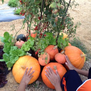 The kids can't see, so this is how they figure out what pukins are like: how they're shaped, and where they come from